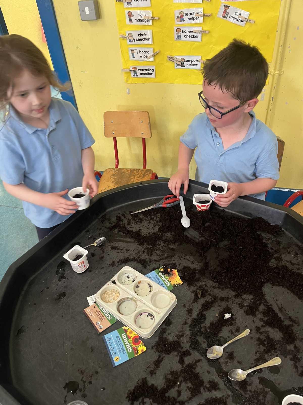 Planting Seeds