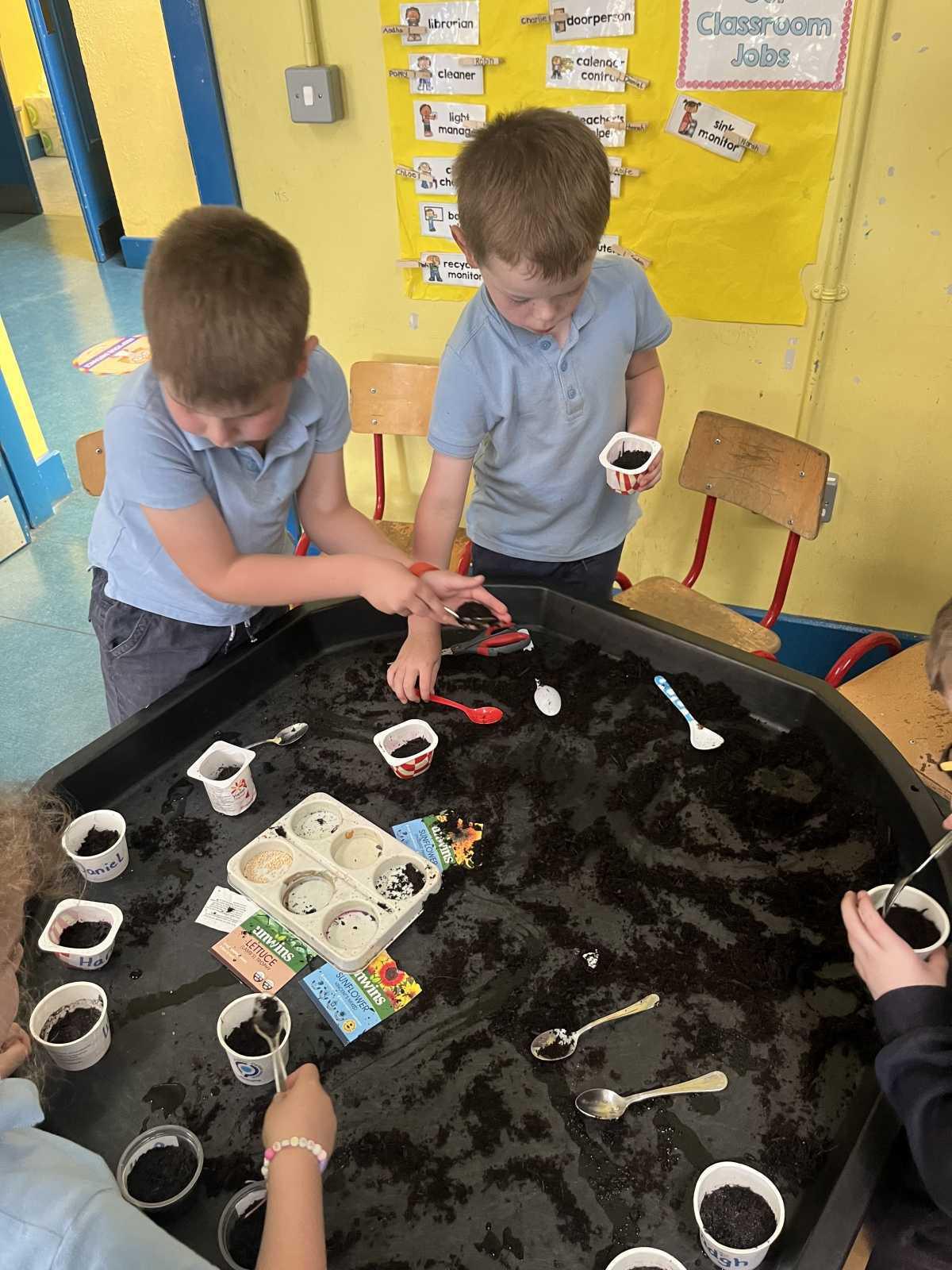 Planting Seeds