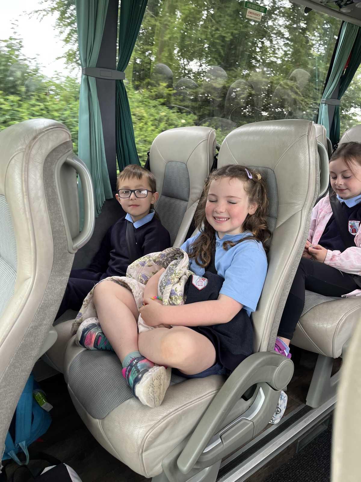 Senior Infants trip to Stonehall 🦚🦙🐖
