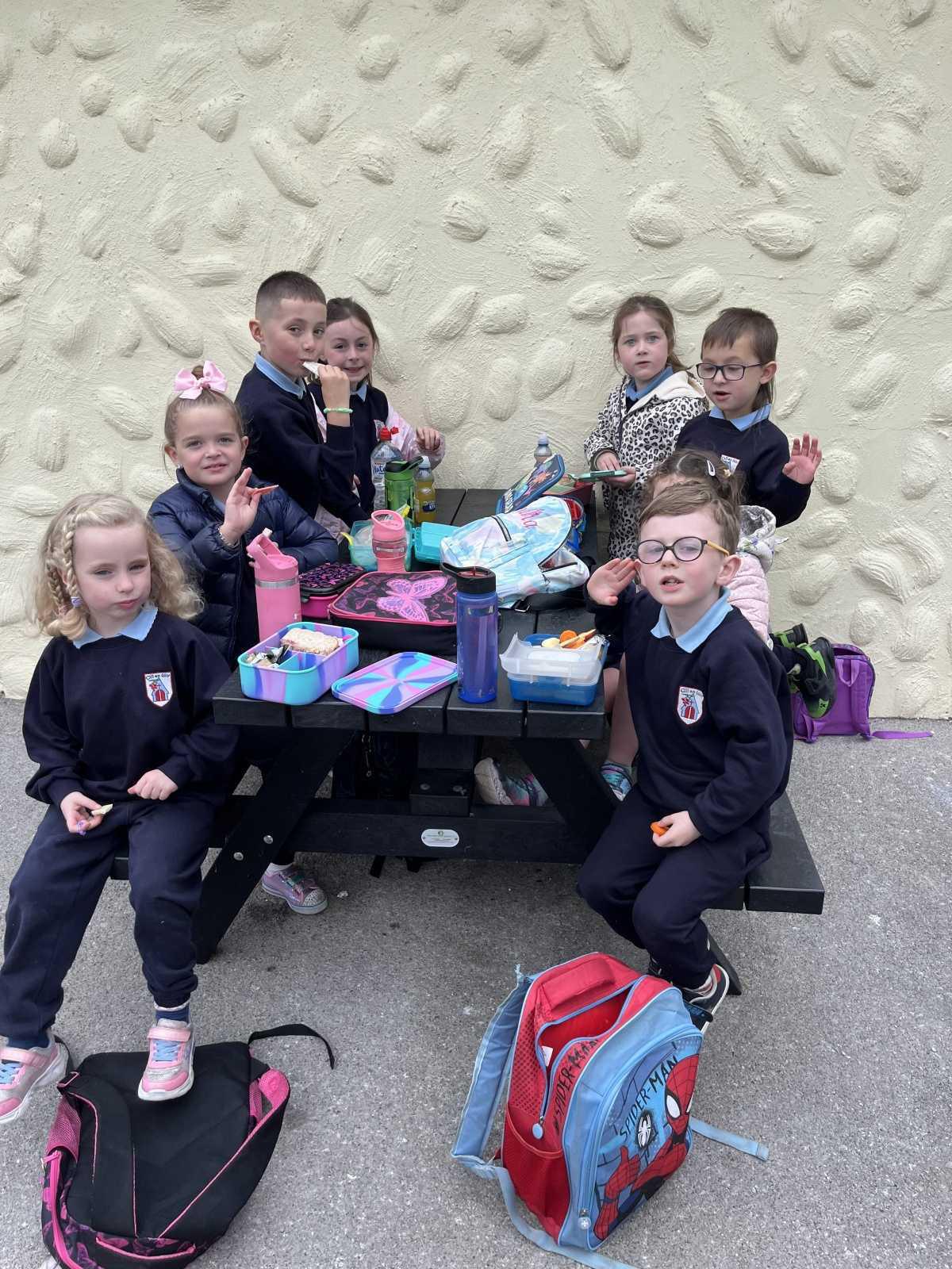 Senior Infants trip to Stonehall 🦚🦙🐖