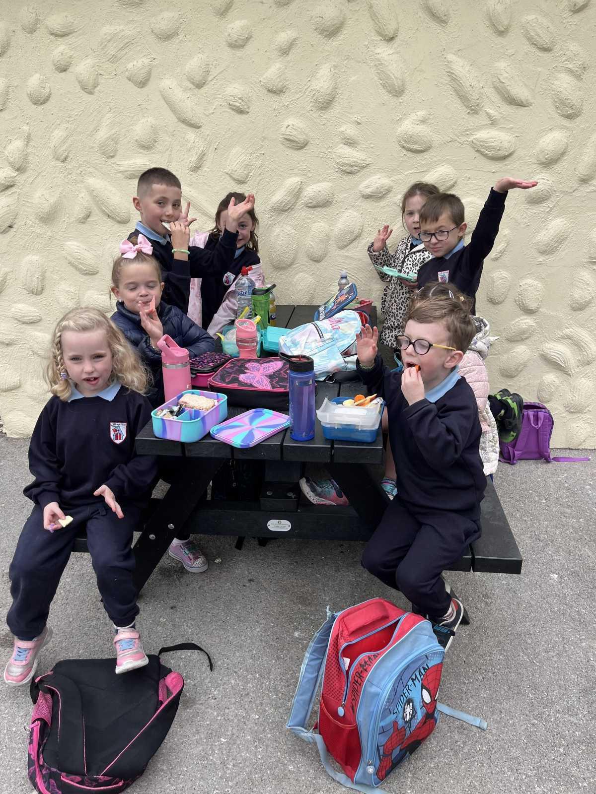 Senior Infants trip to Stonehall 🦚🦙🐖