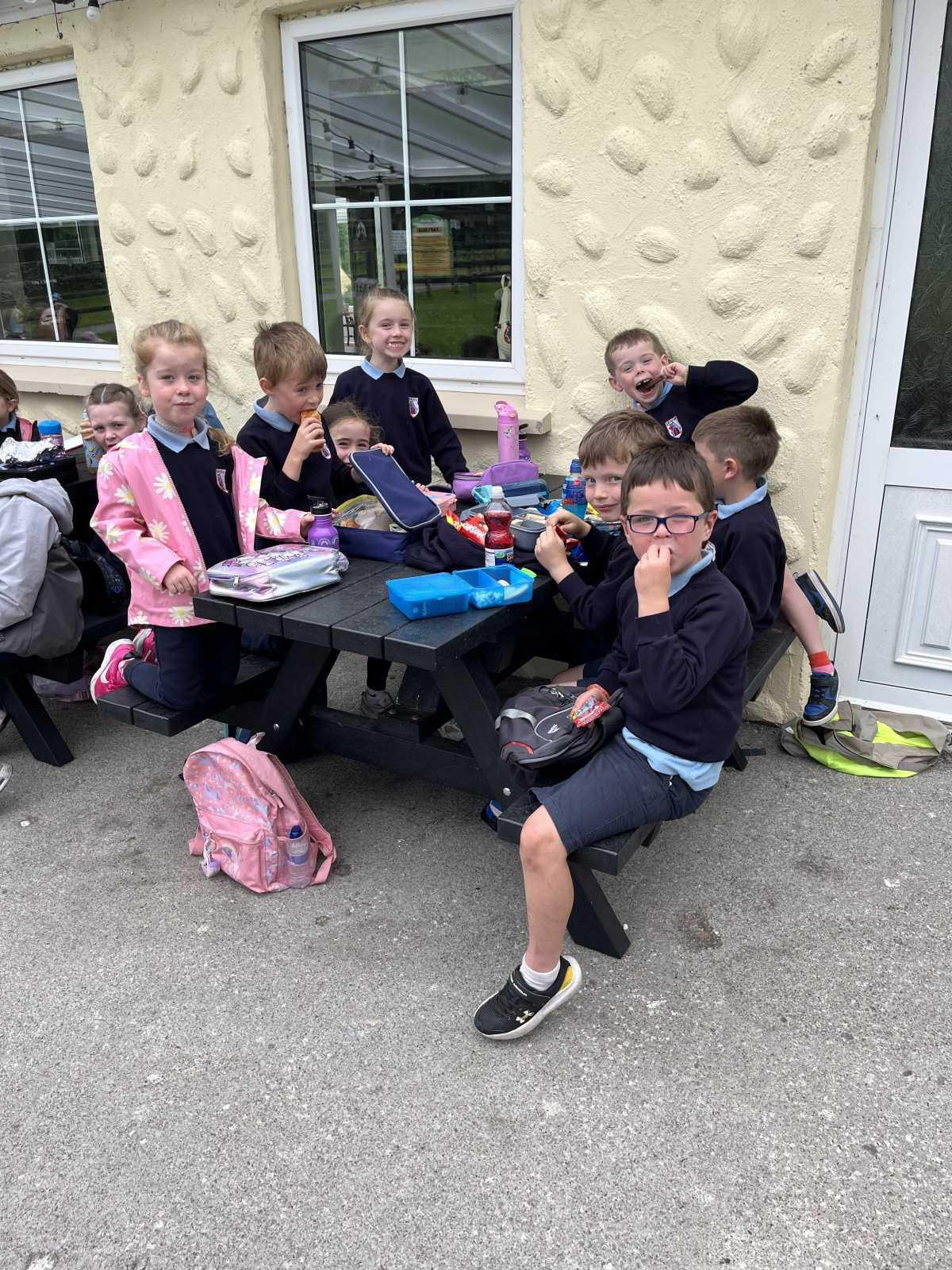 Senior Infants trip to Stonehall 🦚🦙🐖