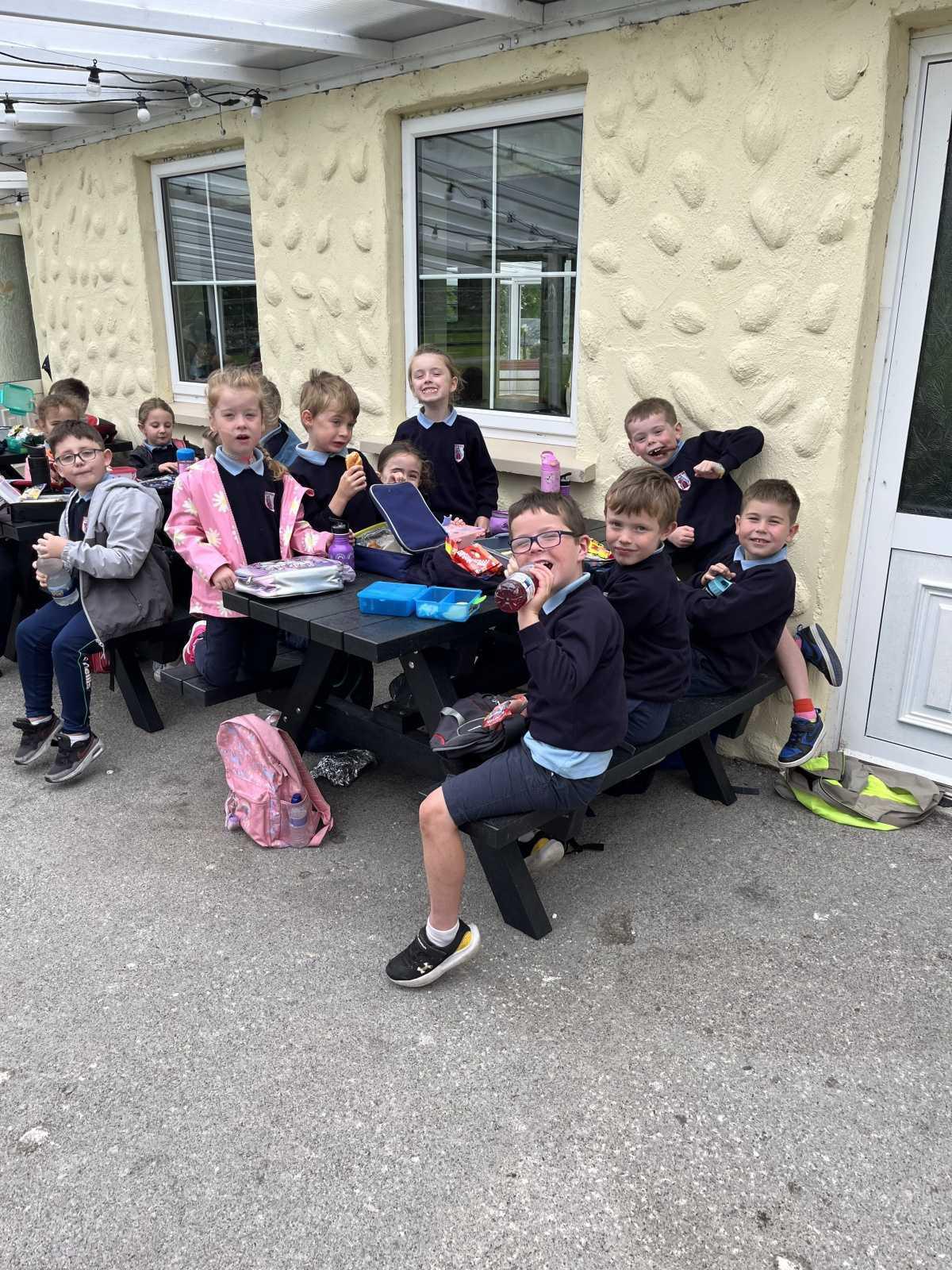Senior Infants trip to Stonehall 🦚🦙🐖