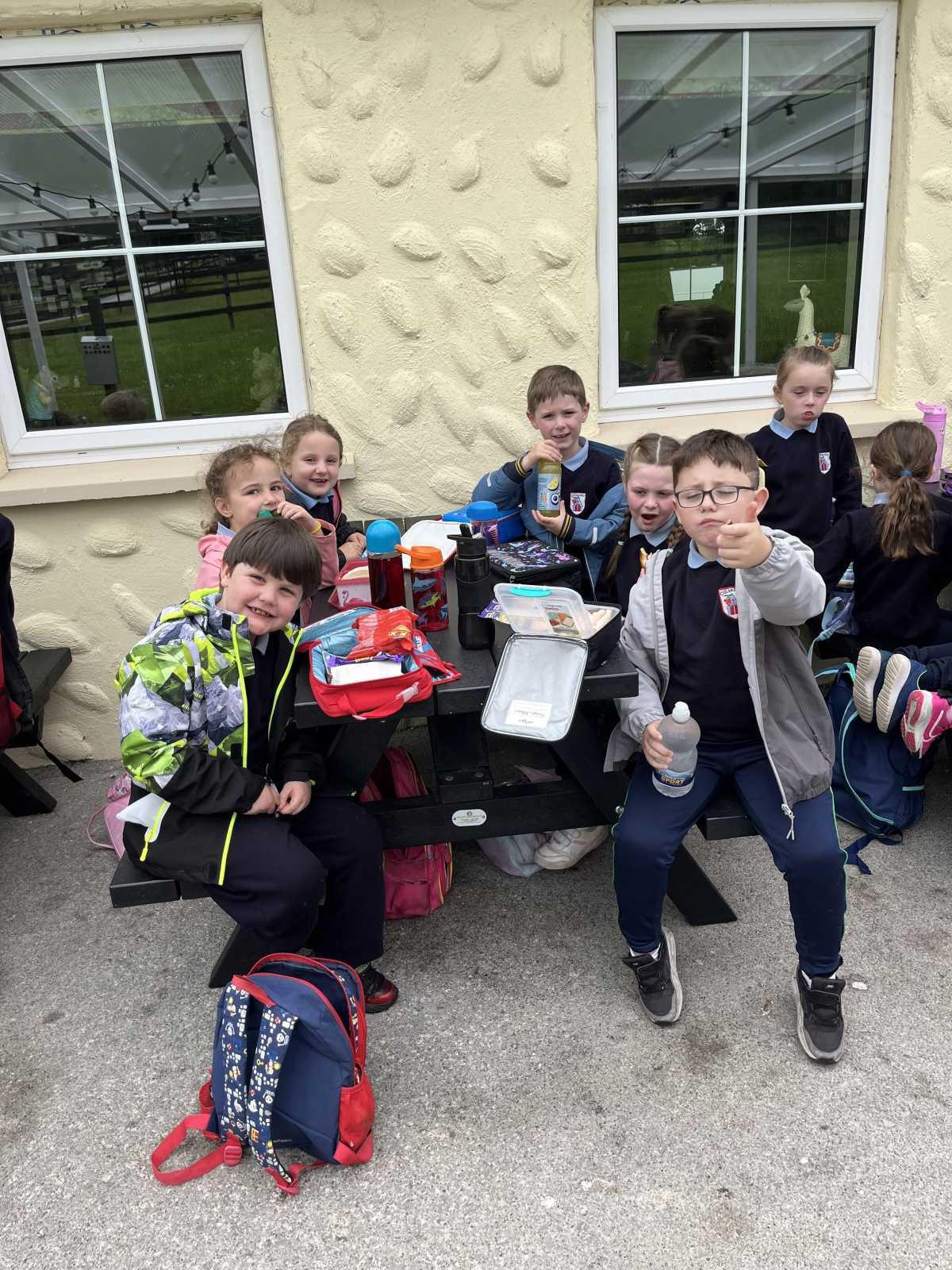 Senior Infants trip to Stonehall 🦚🦙🐖