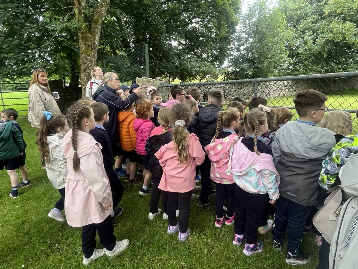 Senior Infants trip to Stonehall 🦚🦙🐖