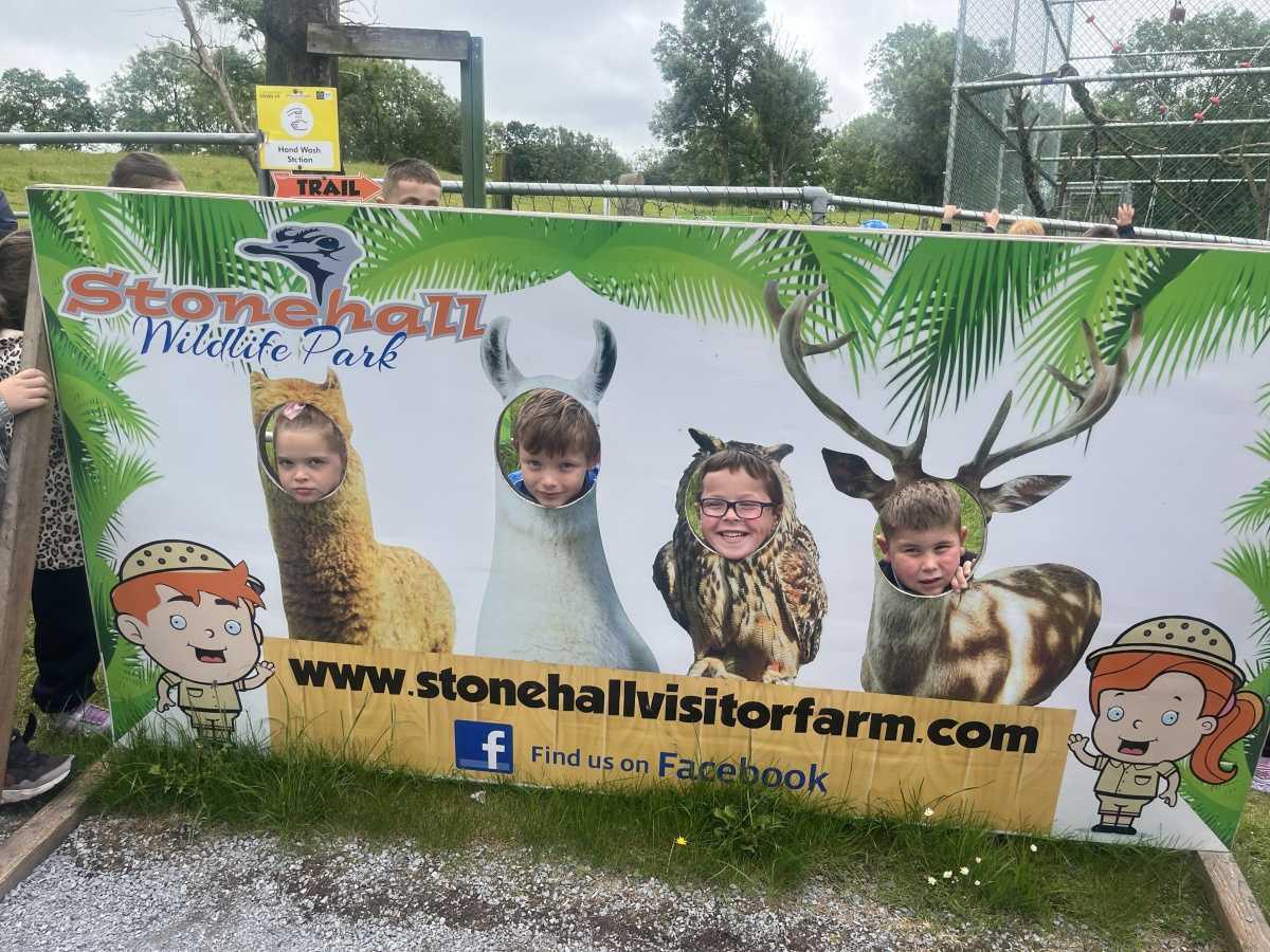 Senior Infants trip to Stonehall 🦚🦙🐖