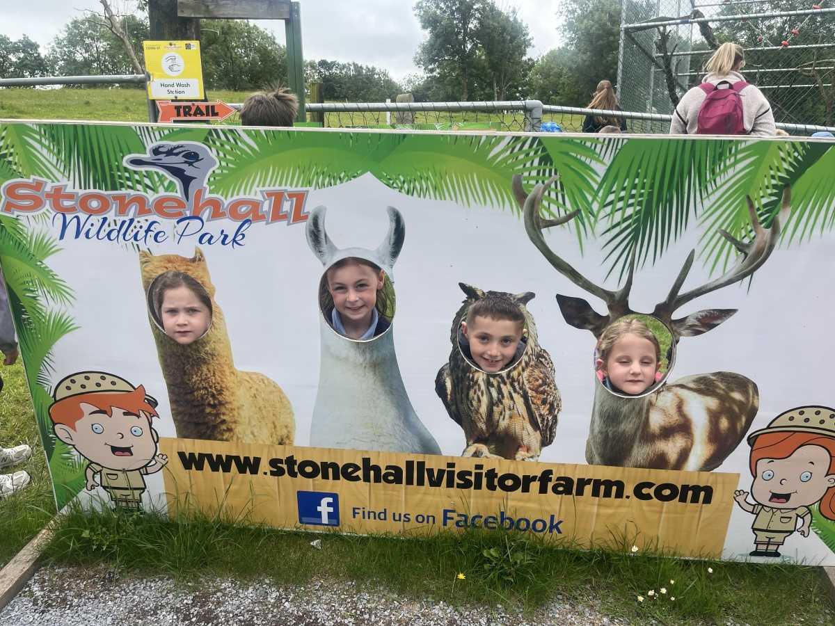Senior Infants trip to Stonehall 🦚🦙🐖