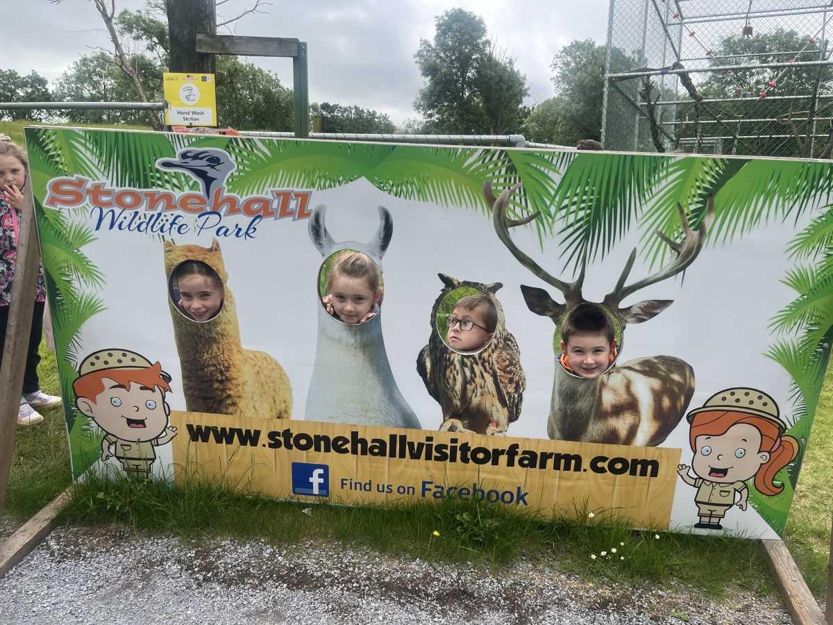 Senior Infants trip to Stonehall 🦚🦙🐖