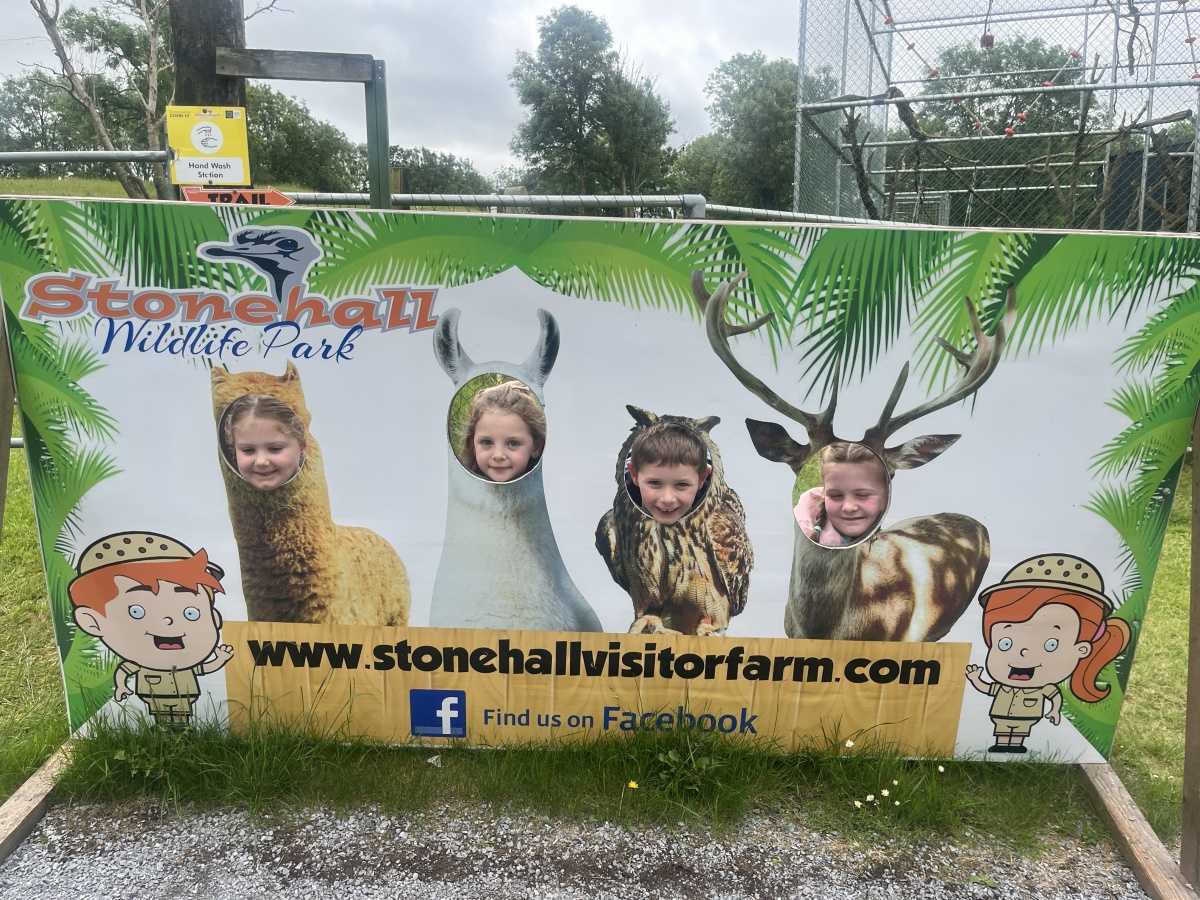 Senior Infants trip to Stonehall 🦚🦙🐖