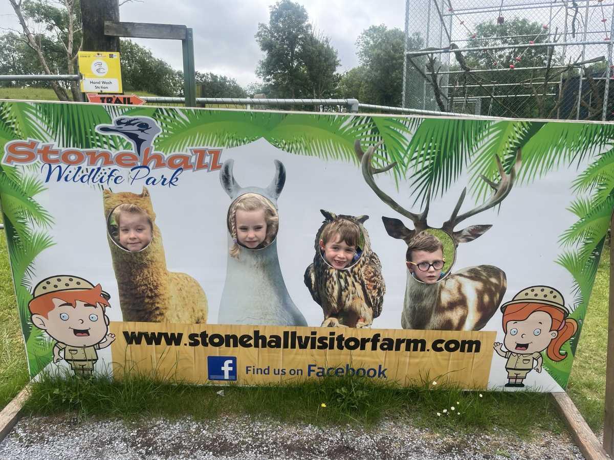 Senior Infants trip to Stonehall 🦚🦙🐖