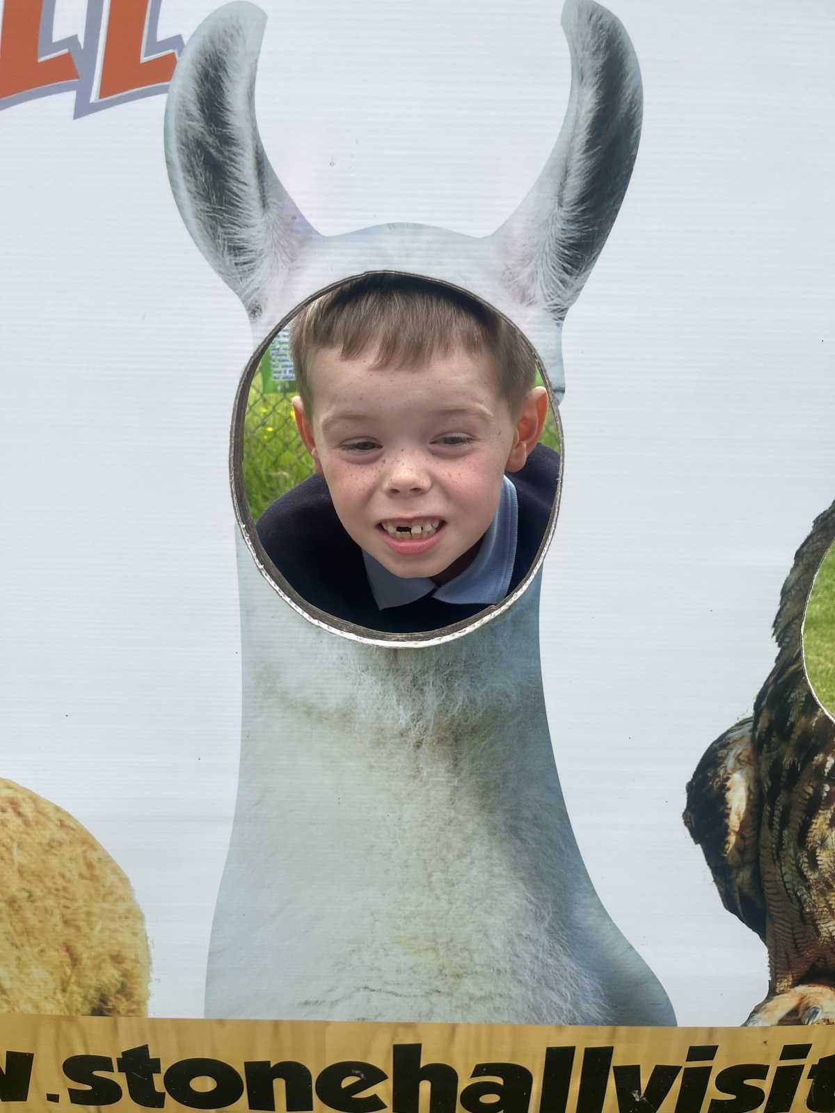 Senior Infants trip to Stonehall 🦚🦙🐖