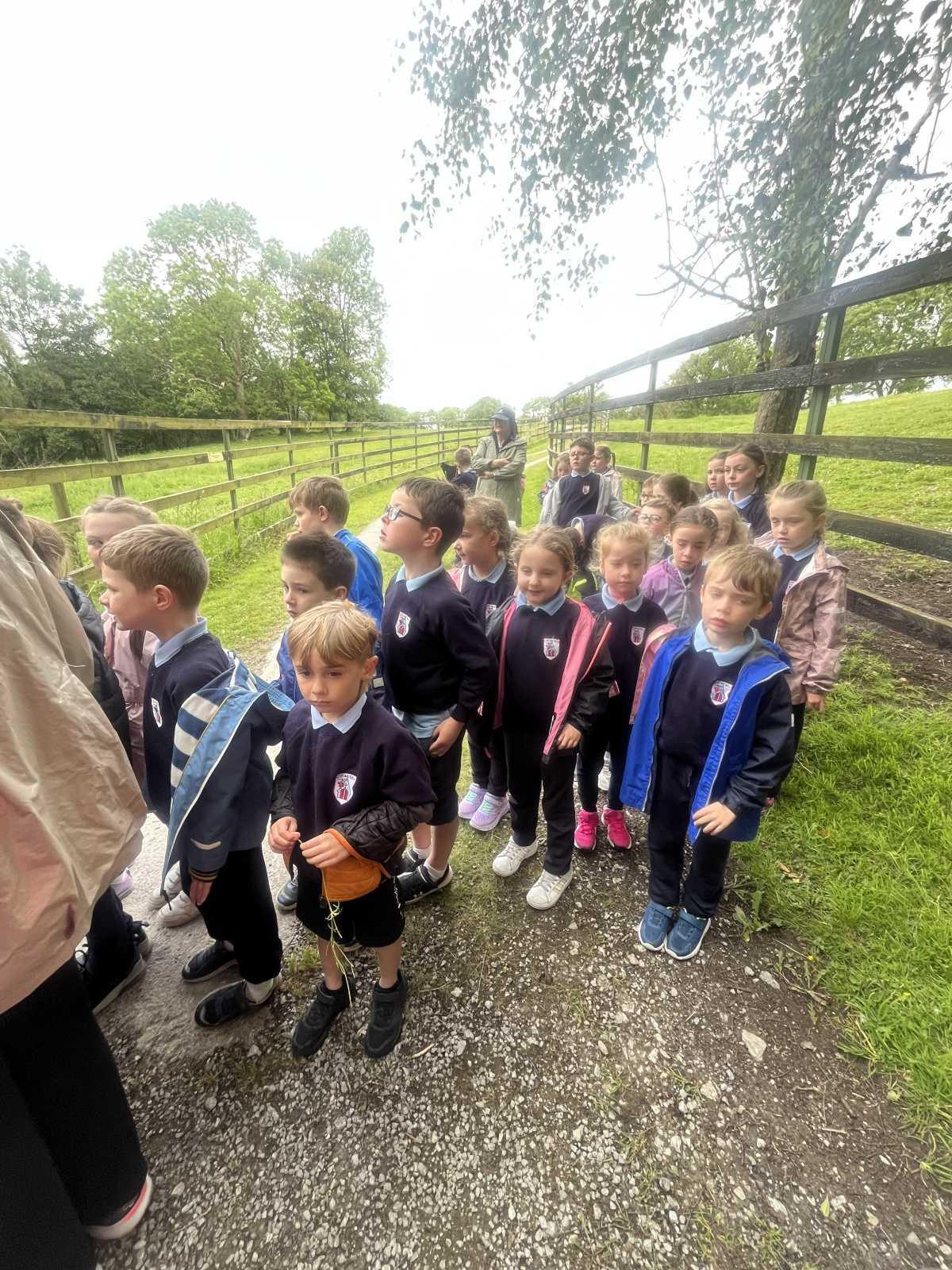 Senior Infants trip to Stonehall 🦚🦙🐖