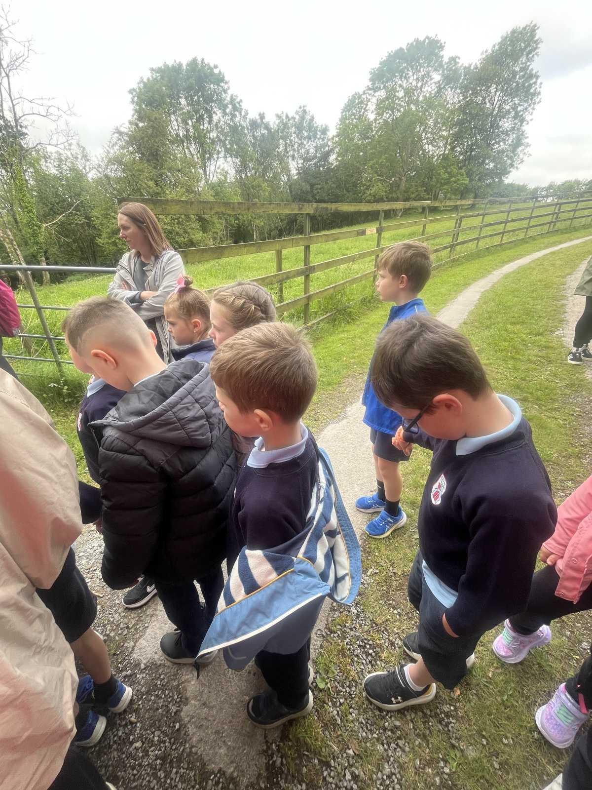 Senior Infants trip to Stonehall 🦚🦙🐖