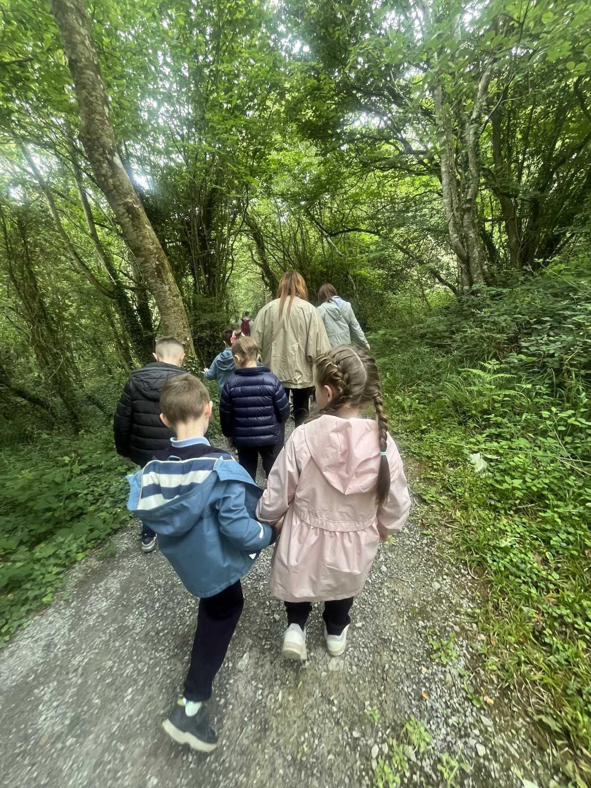 Senior Infants trip to Stonehall 🦚🦙🐖
