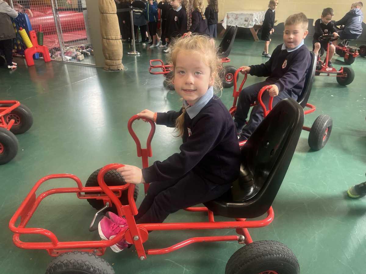 Senior Infants trip to Stonehall 🦚🦙🐖
