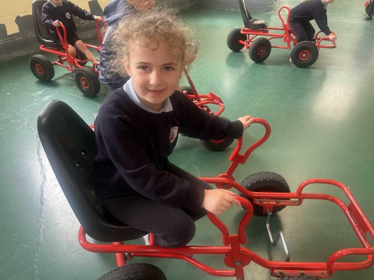 Senior Infants trip to Stonehall 🦚🦙🐖