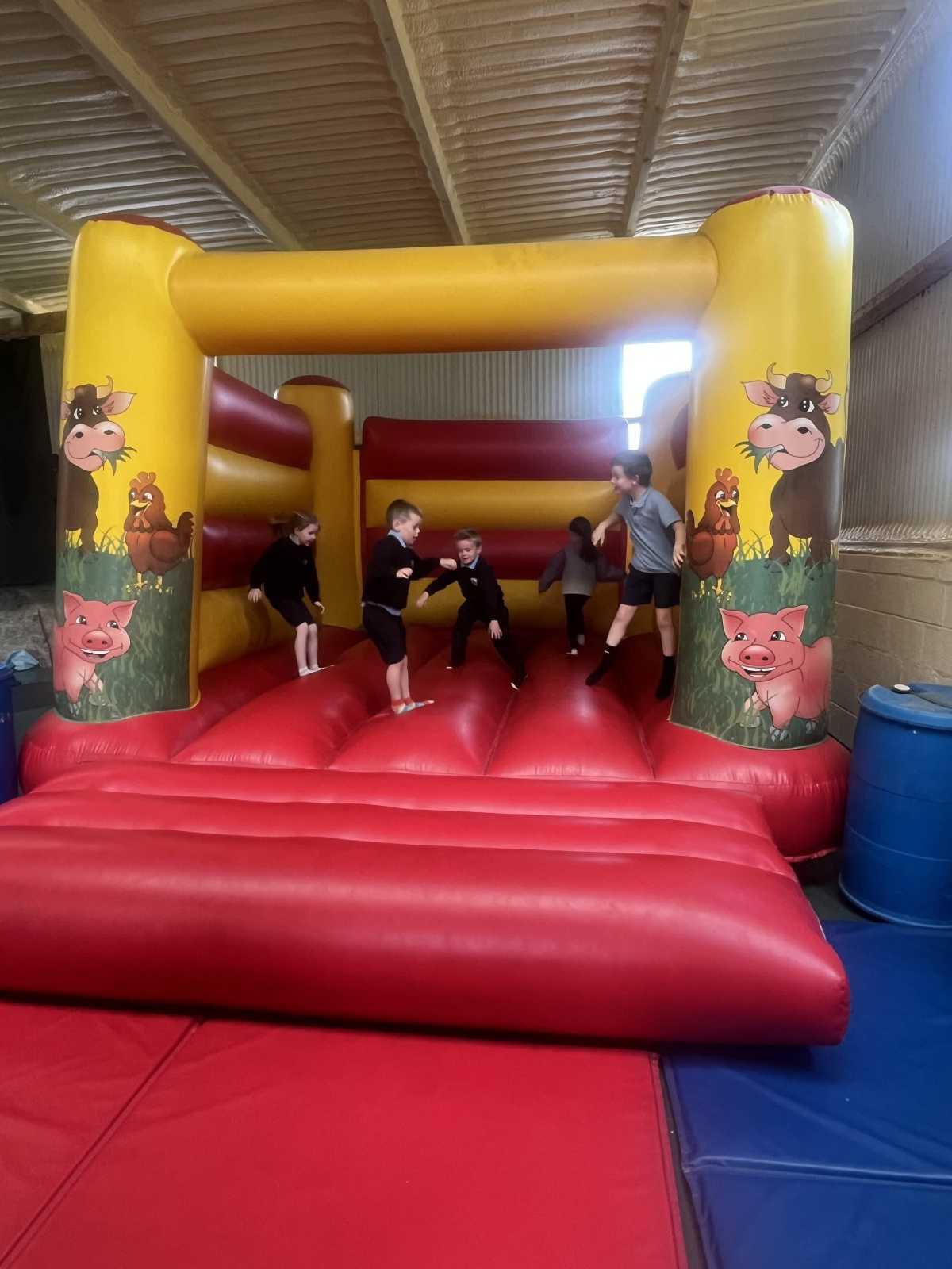 Senior Infants trip to Stonehall 🦚🦙🐖