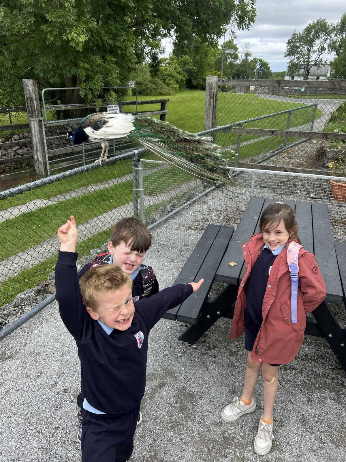 School Tour🐷🐾🐐