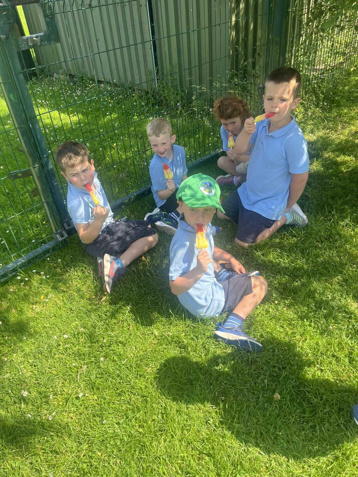 🧸 Teddy Bear Picnic🍦