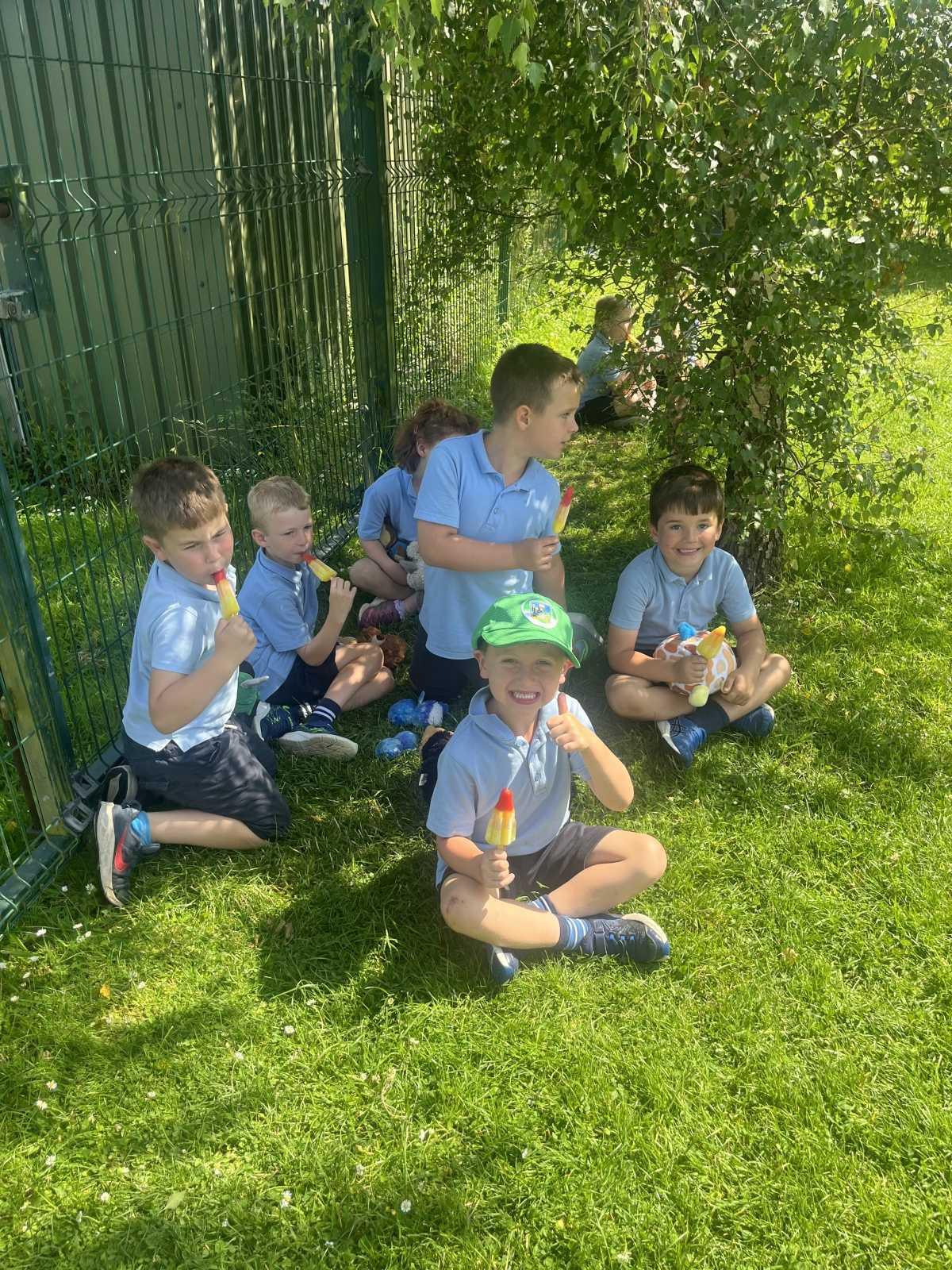 🧸 Teddy Bear Picnic🍦