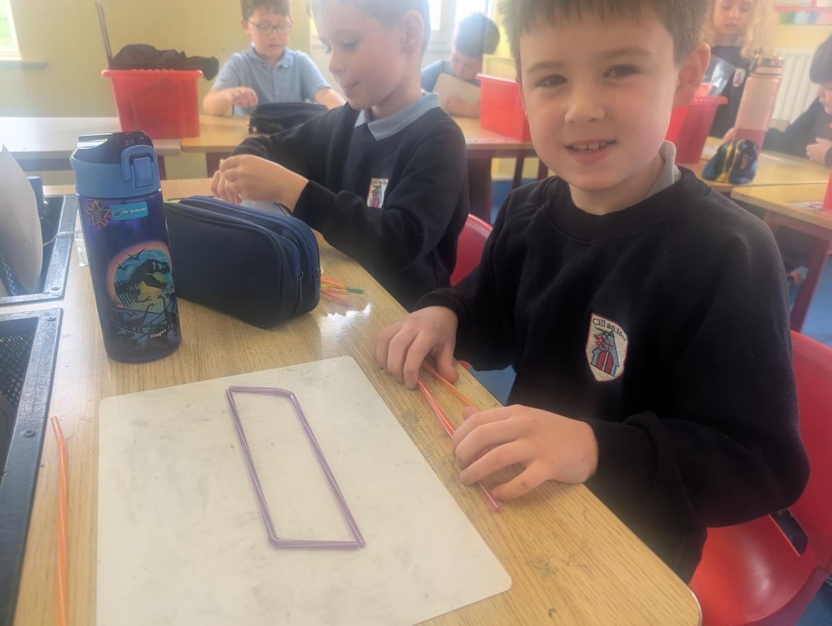 Next Stop; Shape Town