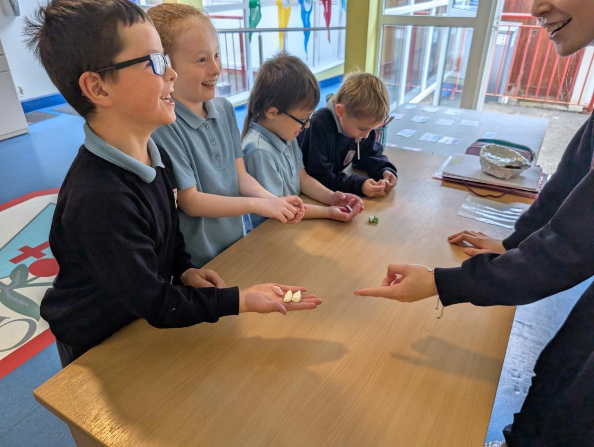 1st/2nd Class Maths Week 1st/2nd Class Maths Week