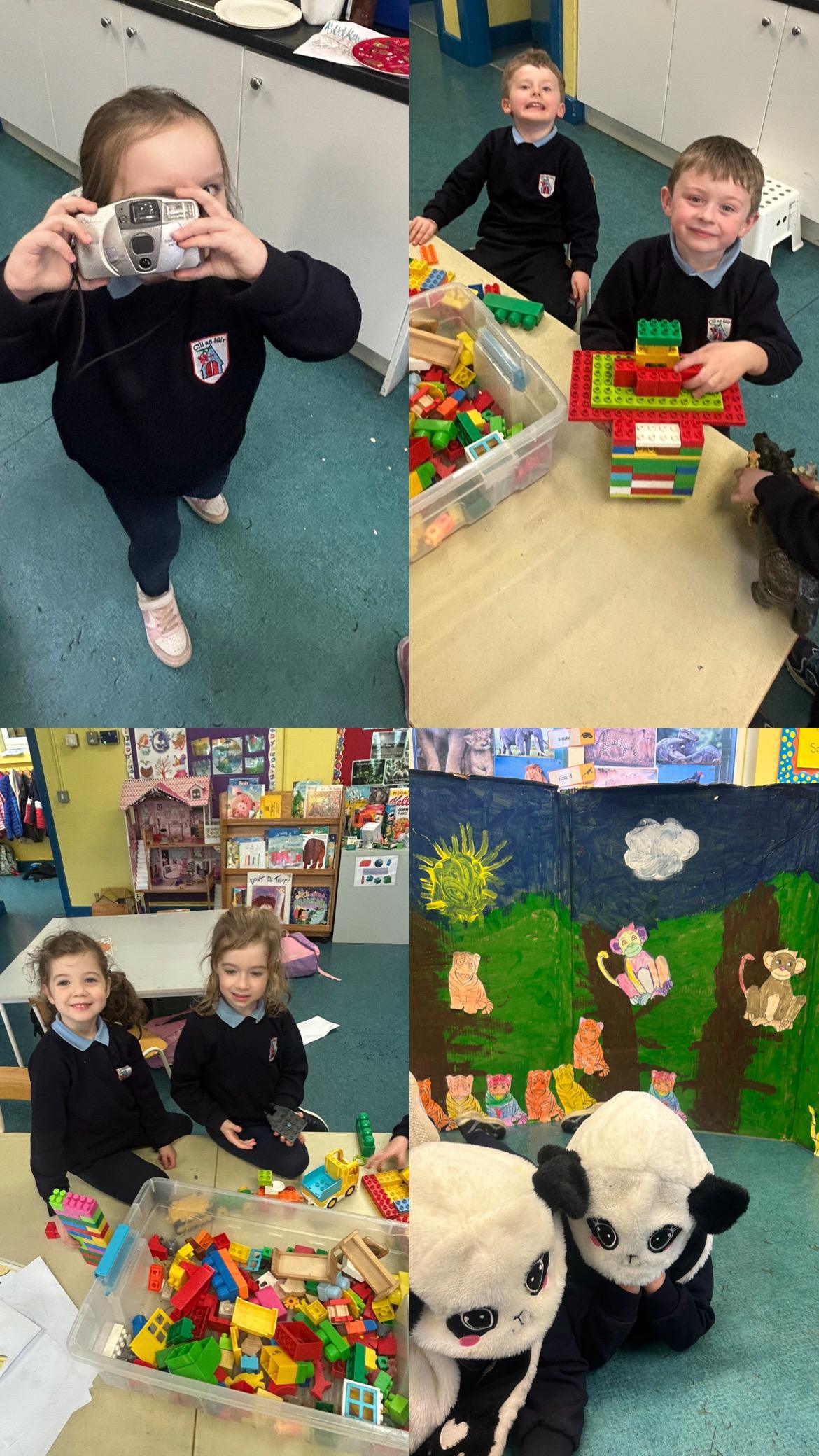 Jungle Animals 🦁🐻‍❄️🐯🦒🦓🐆