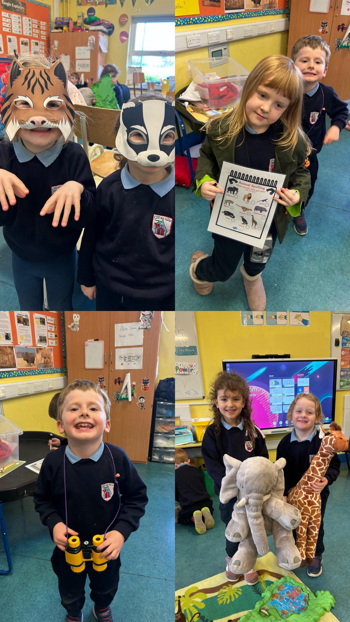 Jungle Animals 🦁🐻‍❄️🐯🦒🦓🐆