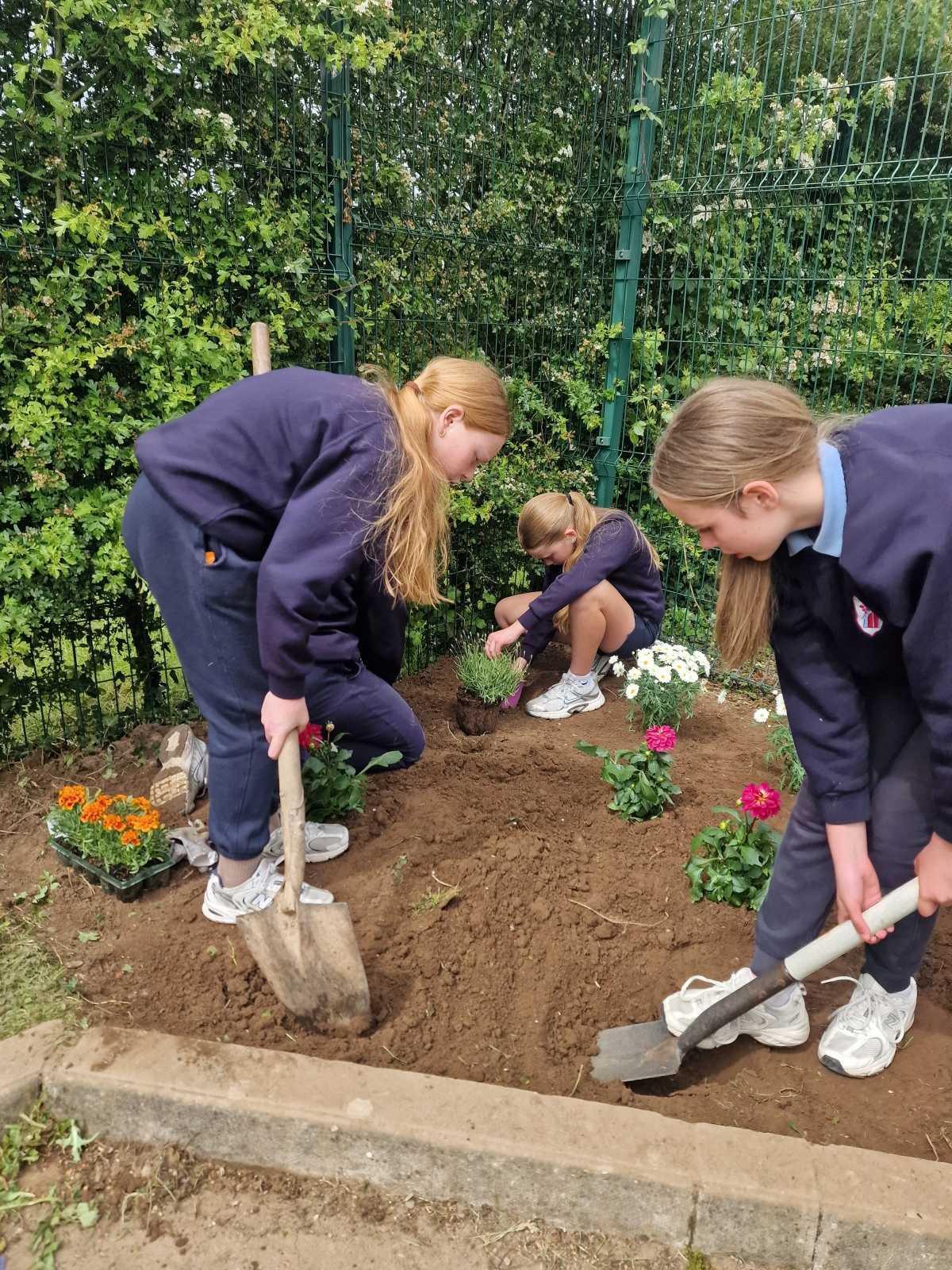 🌼 School Garden 🌸 🌼 School Garden 🌸