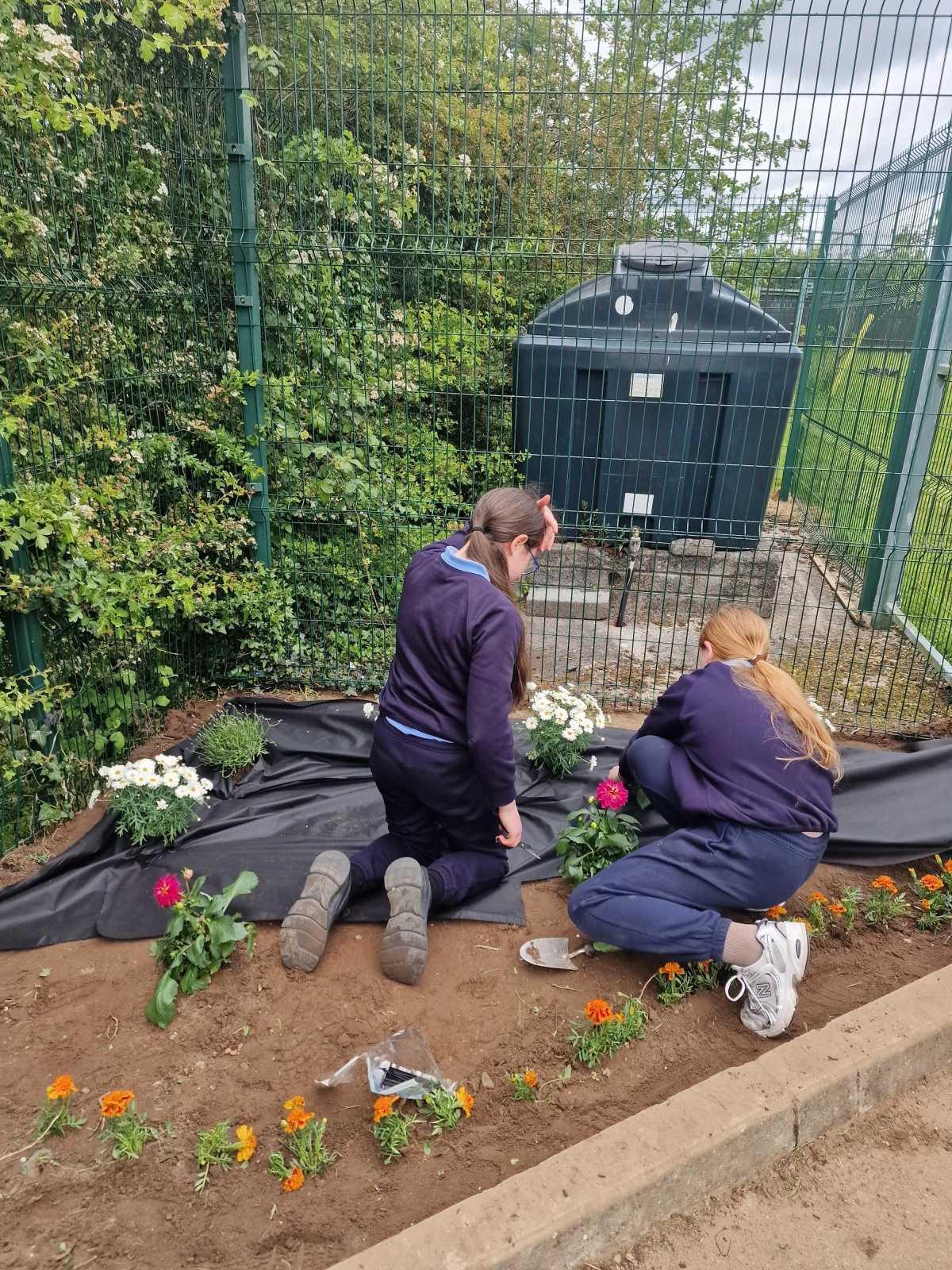 🌼 School Garden 🌸