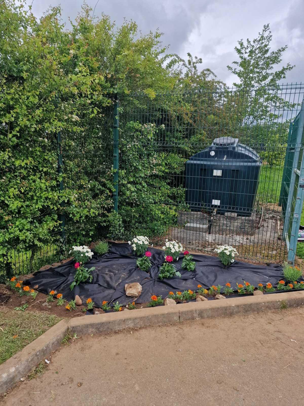 🌼 School Garden 🌸