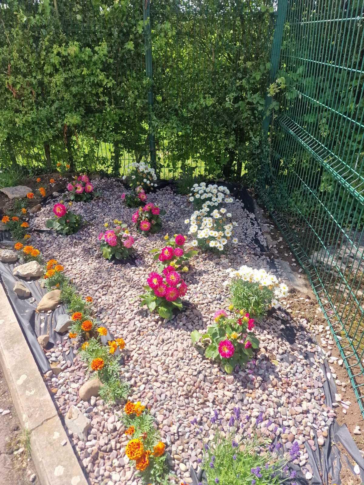 🌼 School Garden 🌸