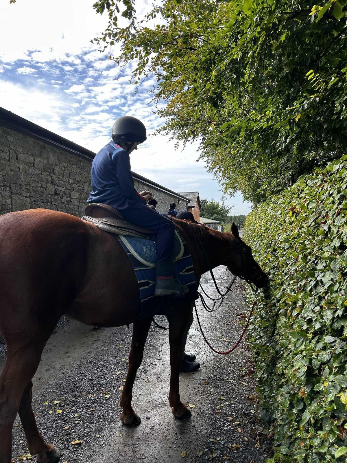 Horse Riding! 23/9/26