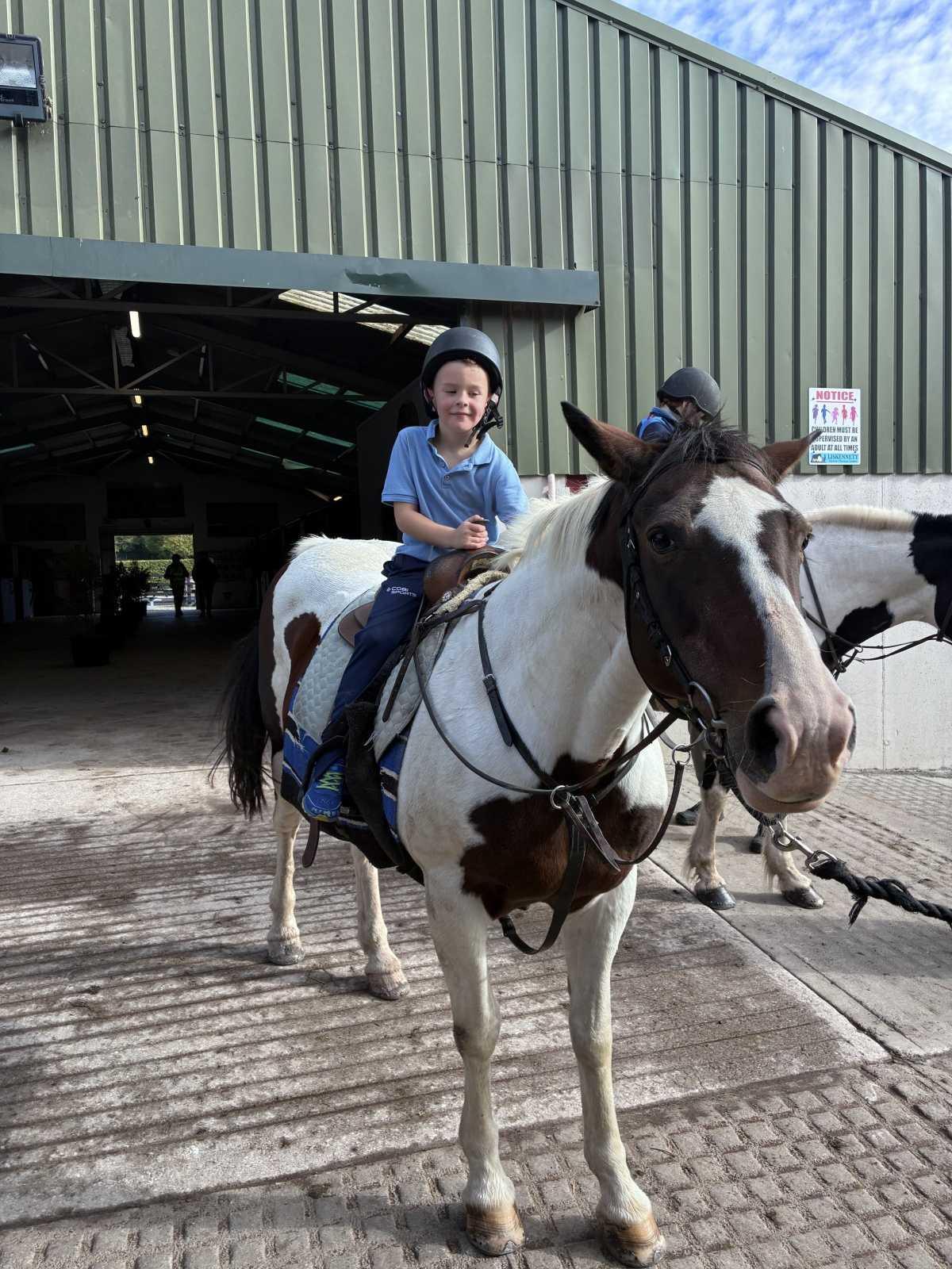 Horse Riding 