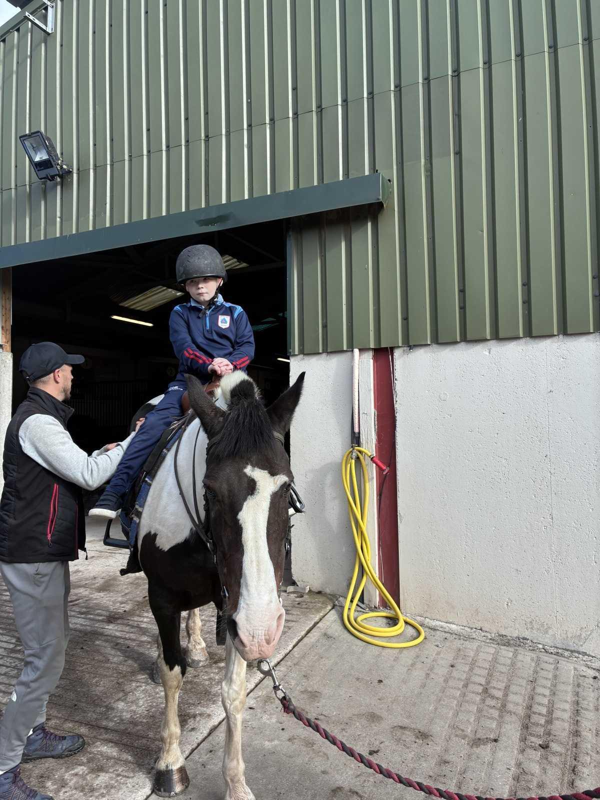 Horse Riding 