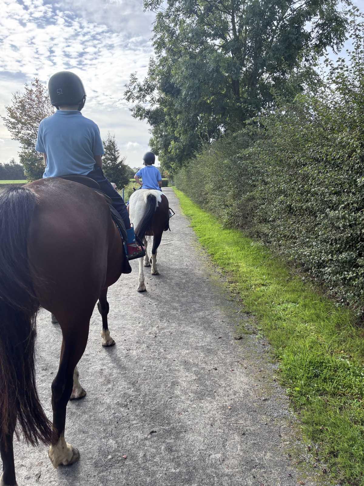 Horse Riding 