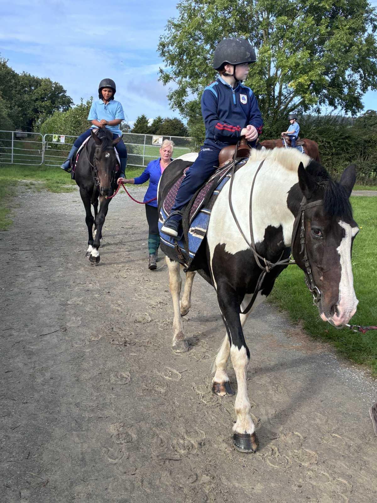 Horse Riding 