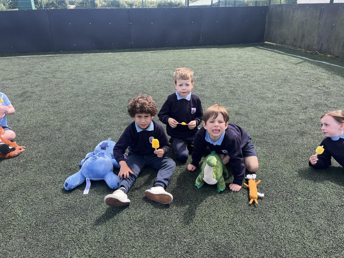 Teddy Bears Picnic
