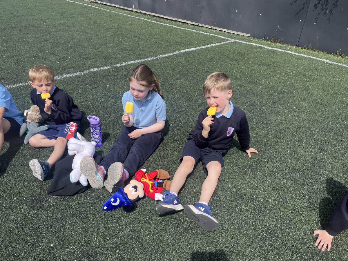 Teddy Bears Picnic