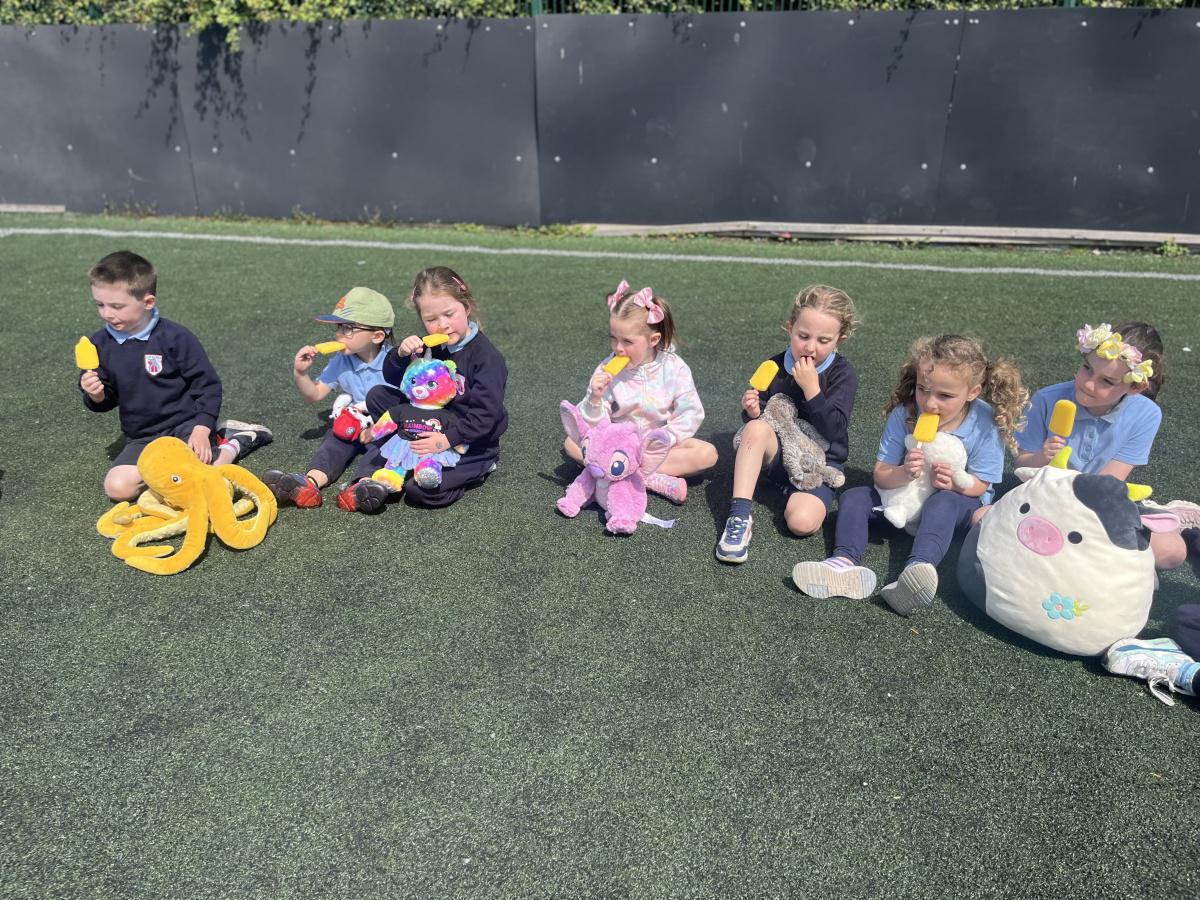 Teddy Bears Picnic