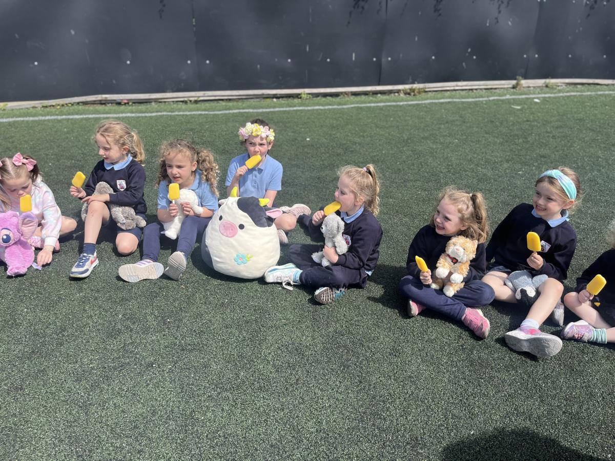 Teddy Bears Picnic
