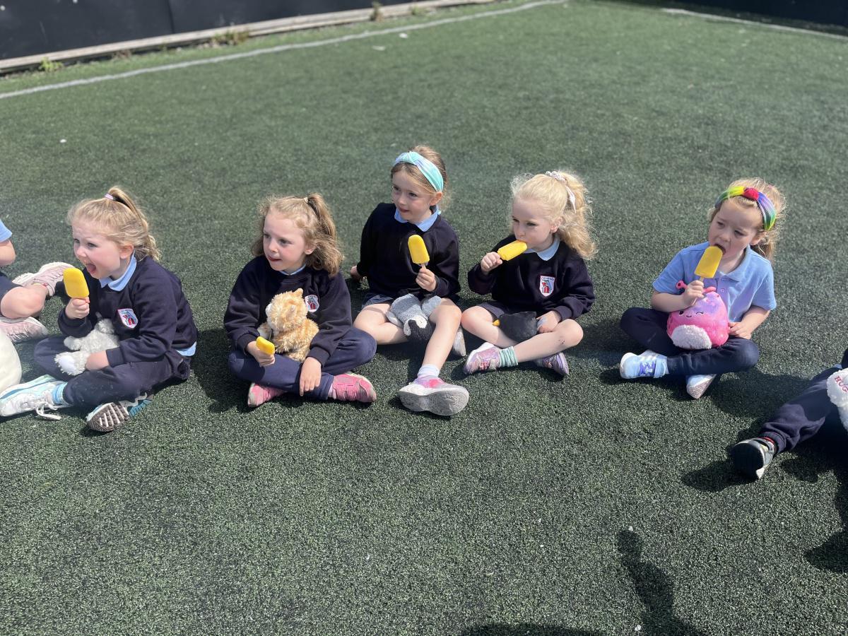 Teddy Bears Picnic