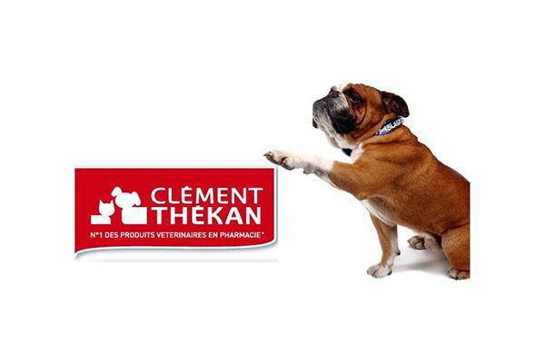 Clément Thekan