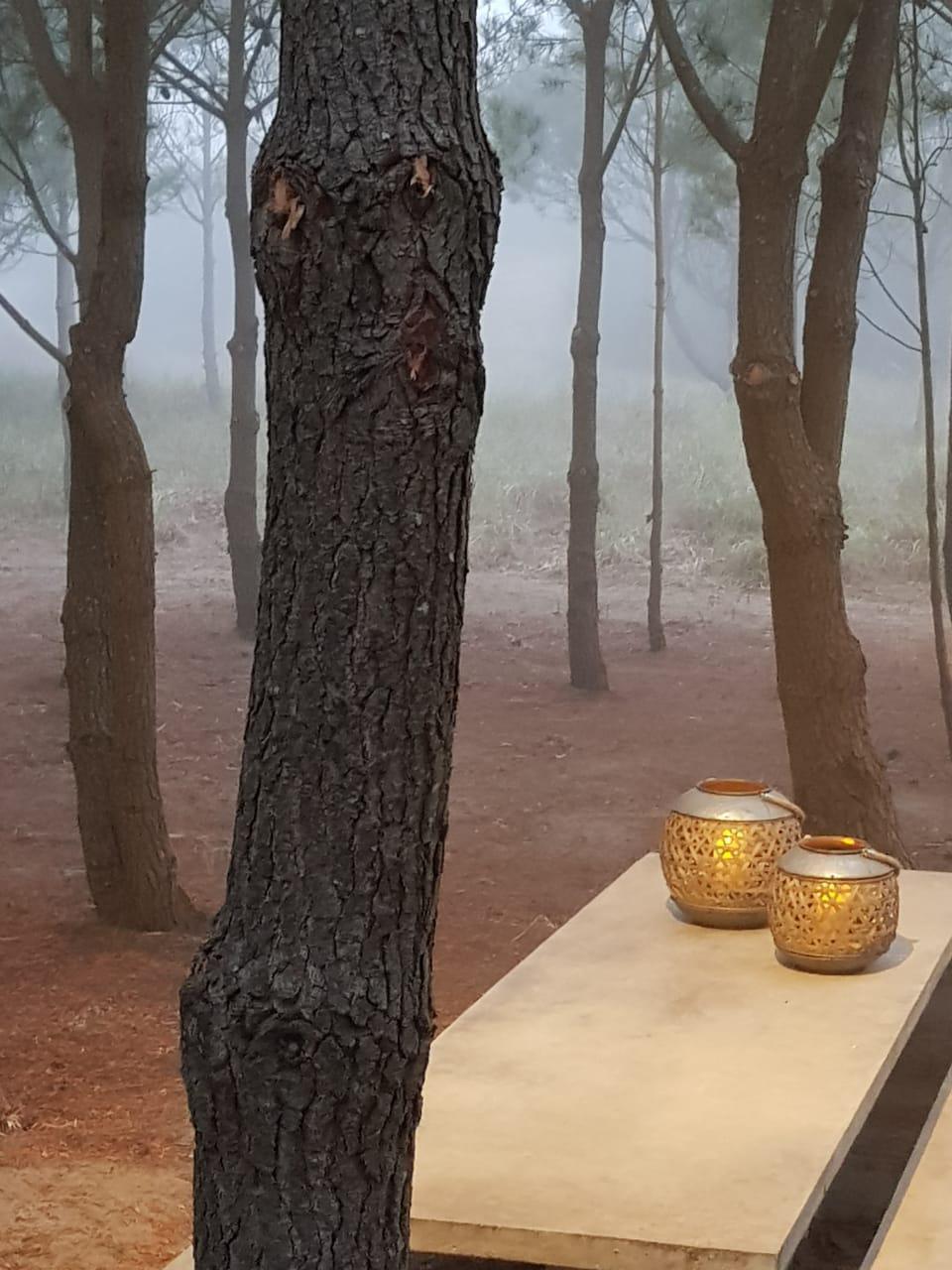 Parrilla con mesada, pileta y mesa exterior Parrilla con mesada, pileta y mesa exterior