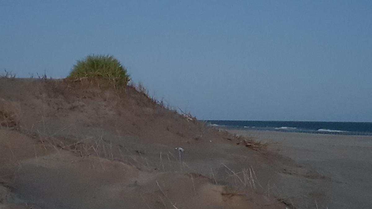 Acceso directo a playa Acceso directo a playa