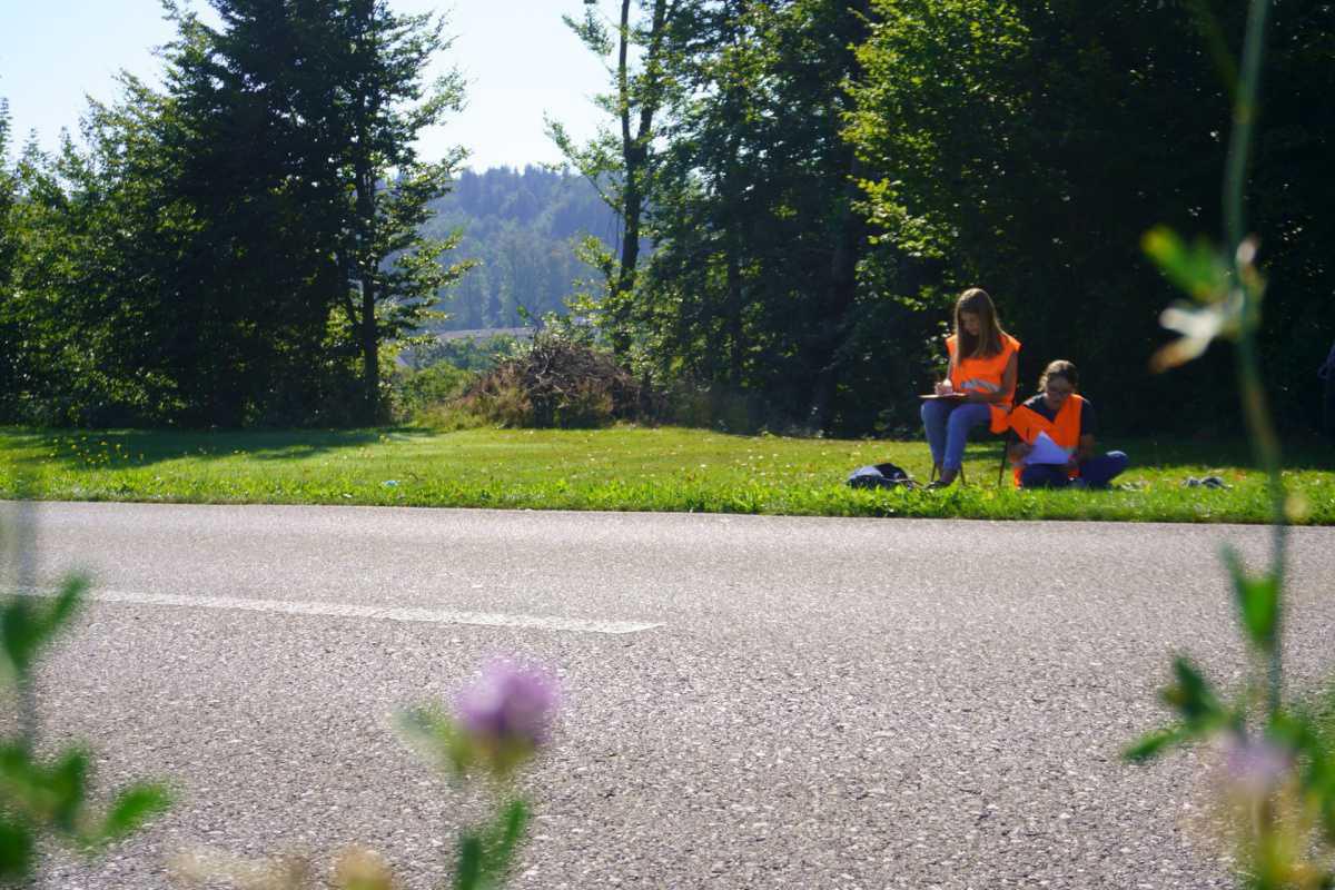 Verkehrszählung