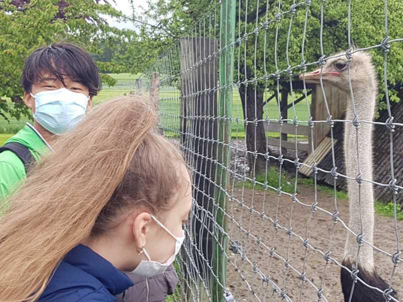 DaZ-Intensiv-Klasse besucht Straussenhof DaZ-Intensiv-Klasse besucht Straussenhof