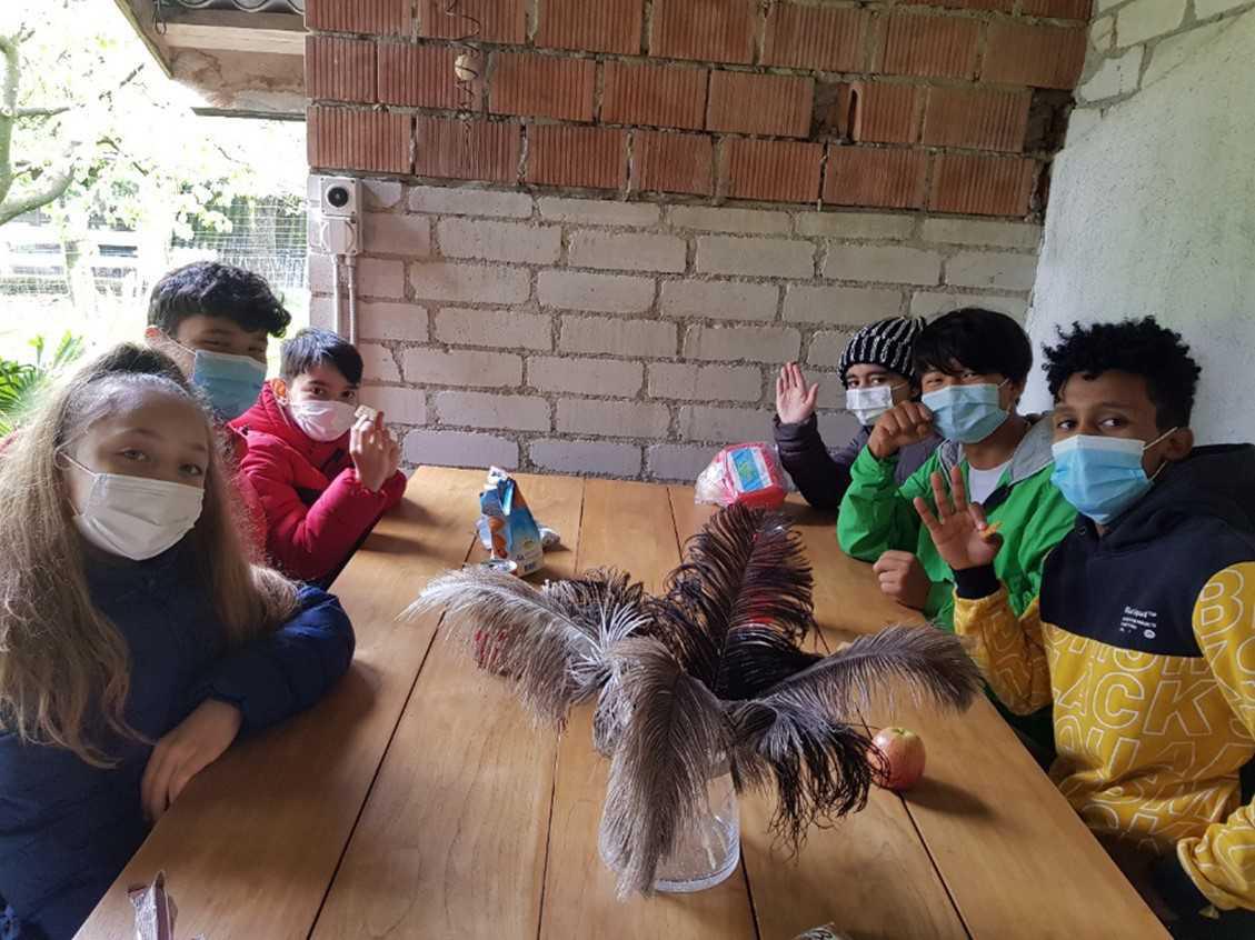 DaZ-Intensiv-Klasse besucht Straussenhof DaZ-Intensiv-Klasse besucht Straussenhof