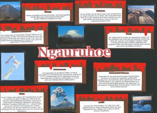 Die Klasse SE2b beschäftigte sich mit den Themen Vulkanismus und Plattentektonik