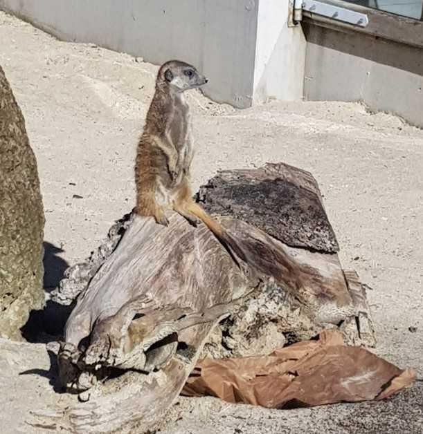 Siky Park in Crémines mit der Weltklasse